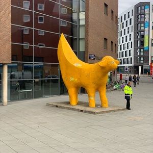 Meet your Posher, Melinda